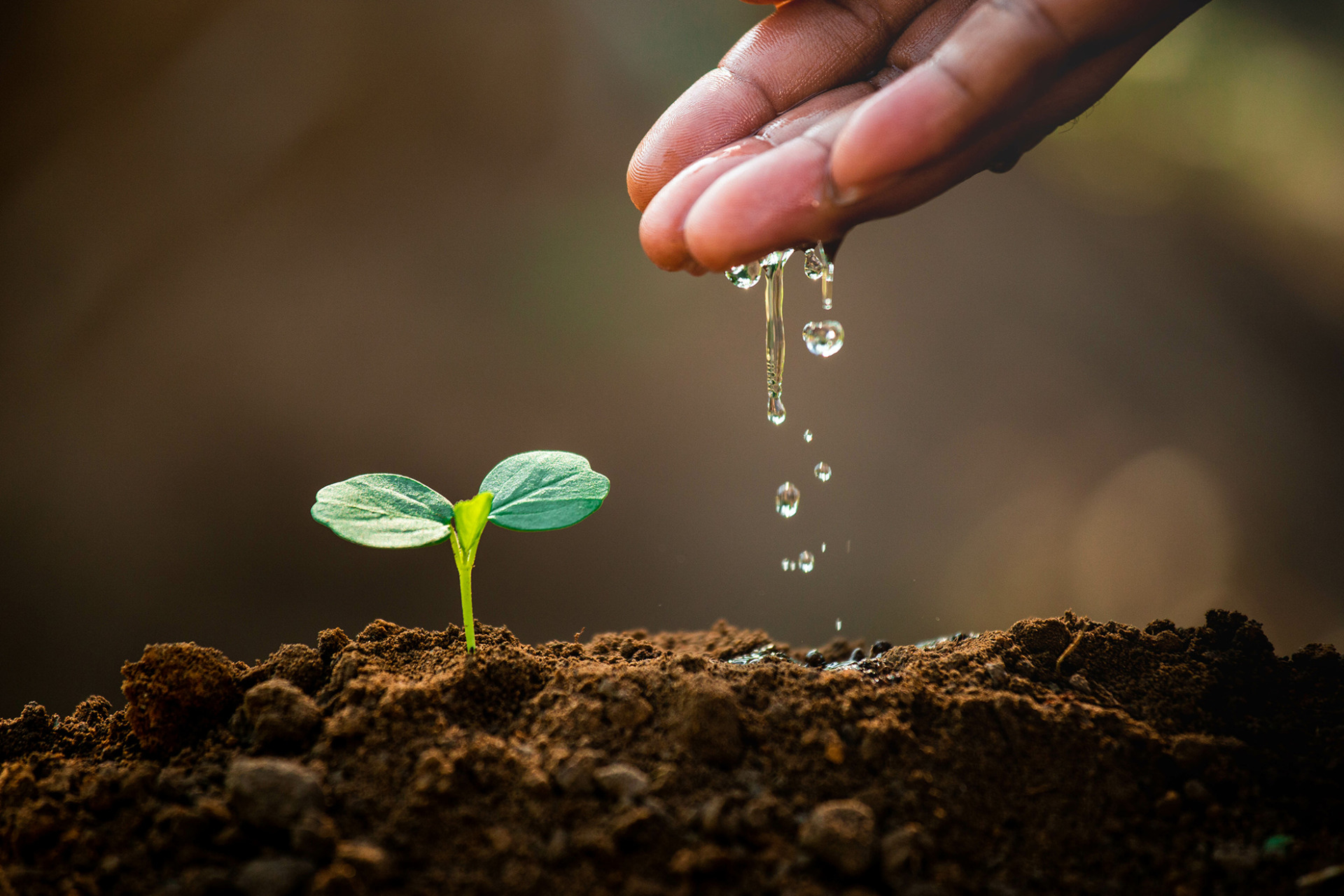Bpm Agricultural Solutions